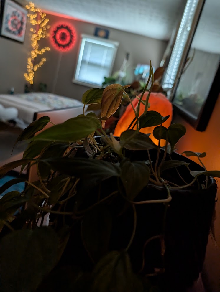 A welcoming detail in the Appalachia Wellness studio
